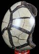Septarian Dragon Egg Geode - Black Crystals #57429-1